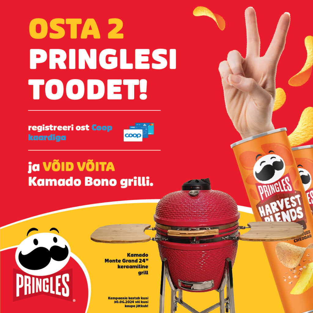 pringles argo ruusmaa portfolio 1080x1080